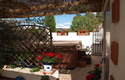 Cherry finca